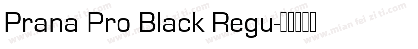 Prana Pro Black Regu字体转换
